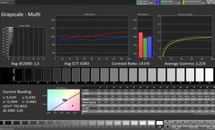 Gråskala (profil: Professional, målfärgrymd: sRGB)