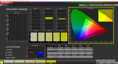 CalMAN Saturation (kalibrerad)