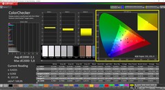 CalMAN ColorChecker (profil: sRGB, målfärgrymd: sRGB)