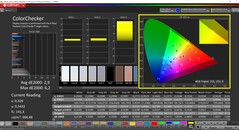 CalMAN ColorChecker (målfärgrymd: P3)