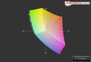 MBP 15 Retina vs. sRGB (t)