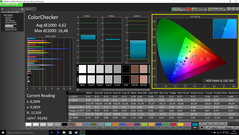 CalMAN - ColorChecker (calibrated)