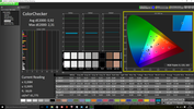 CalMAN ColorChecker after calibration