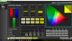 CalMAN – Saturation Sweeps (calibrated)