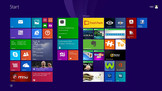 Microsoft Windows 8.1 (64-bit) är förinstallerat.