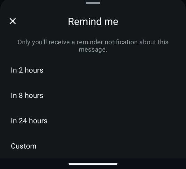WhatsApps påminnelsefunktion låter användare välja en förinställd tid eller skapa en egen tid och ett eget datum. (Bildkälla: Notebookcheck)