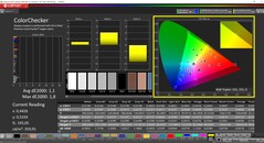 CalMAN Colorchecker (läge: P3, målfärgrymd: P3)