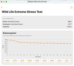 3DMark Wildlife Extremt stresstest