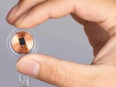Ett Neuralink-chip för hjärnan (Bildkälla: Neuralink)