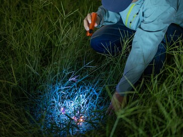 Olight ArkPro Ultra har ett UV-ljus för att upptäcka organiska fläckar.