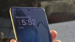 OnePlus 13:s skärm. (Bildkälla: Notebookcheck)