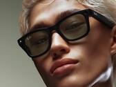 Meta Ray-Ban Wayfarer smarta glasögon (Bildkälla: Ray-Ban)