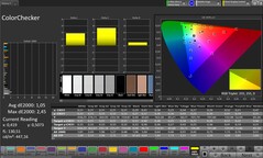 CalMAN-färgprecision – utomhusdisplay