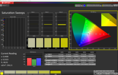 CalMAN mättnad kalibrerad