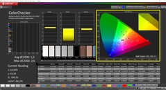 CalMAN ColorChecker (profil: P3, målfärgrymd P3)