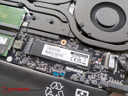 SSD