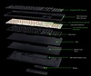 BlackWidow V4 HyperSpeed TKL:s interna struktur (Bildkälla: Razer)