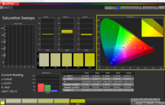 CalMAN mättnadssvep kalibrerade