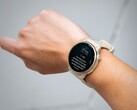Garmin vivoactive 6 smartwatch får sin första betauppdatering. (Bildkälla: Garmin)