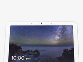 Googles ryktade Home Display kan vara en efterträdare till Nest Hub Max (bilden)