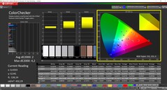 CalMAN ColorChecker (målfärgrymd P3)