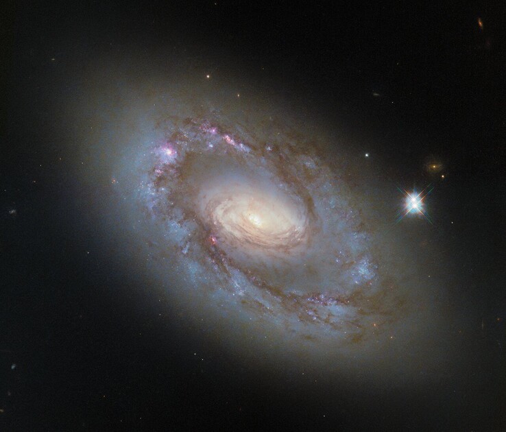Hubble-bilden av NGC 4102 (Bildkälla: ESA/Hubble, NASA och G. Fabbiano)