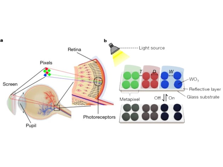 (Bildkälla: Nature)