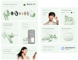 Huvudhöjdpunkterna i öronsnäckorna (maskinöversatt)