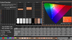 Calman: ColorChecker (kalibrerad)