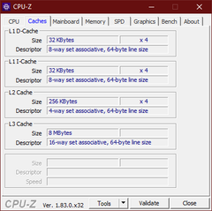 CPU-Z Cache