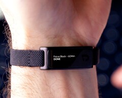 Jaye Band finansieras för närvarande via Kickstarter.