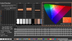 CalMAN: ColorChecker (kalibrerad)