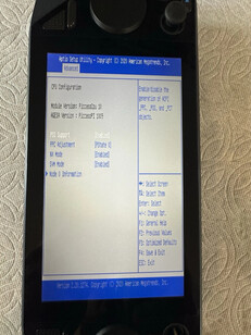 (Bildkälla: eBay)
