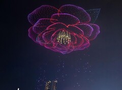 En scen från Charming Chongqing av ett kameliakronblad; den officiella blomman i Chongqing (Bildkälla: SB News; beskuren)