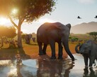 Planet Zoo 2 lanseras den 13 oktober och är redan ett av de spel som drar in mest pengar på Steam inför lanseringen.