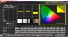 CalMAN ColorChecker (profil: sRGB, målfärgrymd: sRGB)