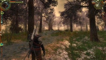På bilden: En skärmbild från spelet The Witcher: Enhanced Edition Director's Cut.