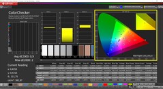 CalMAN ColorChecker (profil: standard, målfärgrymd: P3)