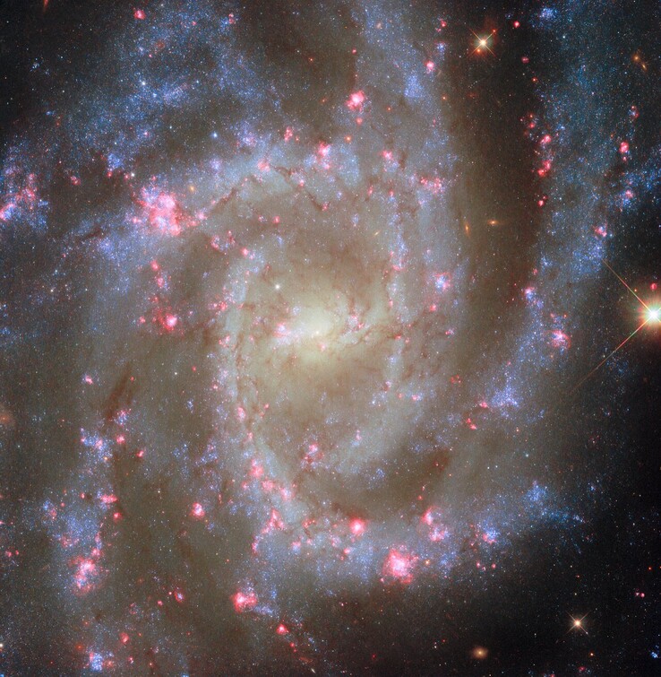 POTW-bilden av NGC 2835 (Bildkälla: ESA, NASA, R. Chandar, J. Lee och PHANGS-HST-teamet)