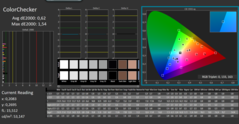 CalMan ColorChecker kalibrerad