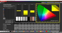 CalMAN ColorChecker (profil: native, målfärgrymd P3)