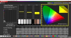 CalMAN ColorChecker (profil: Display-P3, målfärgrymd P3)