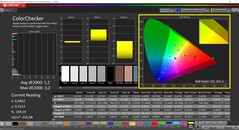 CalMAN ColorChecker (profil: P3, målfärgrymd: P3)