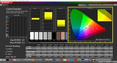 CalMAN ColorChecker (profil: native, målfärgrymd: P3)