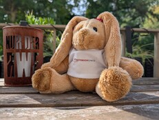 Google Pixel 10 Pro: Exempel på foto