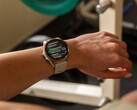 Fenix 8 är en av flera smartklockor som står i kö för en stabil uppdatering v17.xx. (Bildkälla: Garmin)