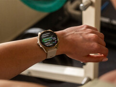 Fenix 8 är en av flera smartklockor som står i kö för en stabil uppdatering v17.xx. (Bildkälla: Garmin)