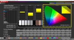 CalMAN ColorChecker (profil: standard, målfärgrymd: P3)