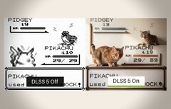 Efter 30 år avslöjas äntligen sanningen - Pidgey är en katt i en duvkostym.