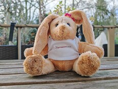 Honor Magic7 Pro: Exempel på foto